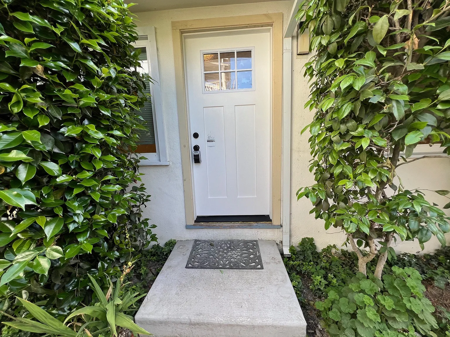 1 bed, 525 sqft, $1,800 — Photo 4