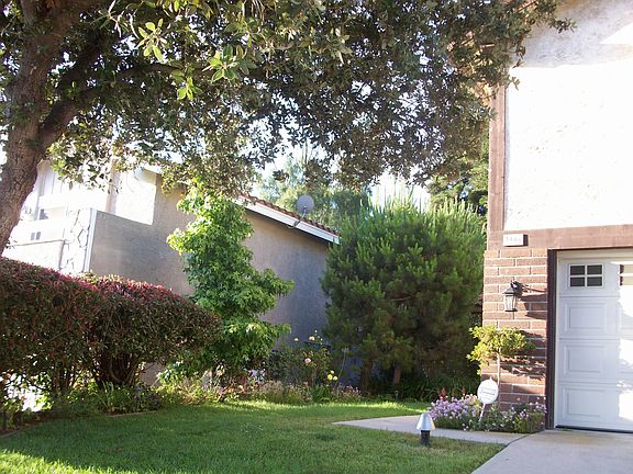 Front left yard