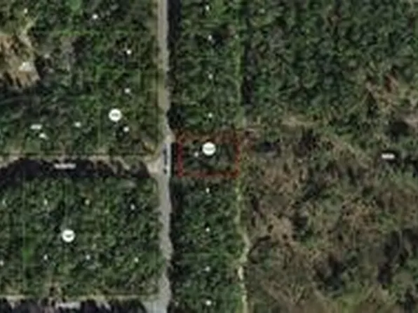8145 N Yellowbird Ave, Citrus Springs, FL 34434