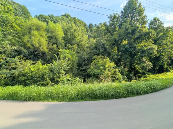 1309 Matthews Hollow Rd, Sevierville, TN 37876