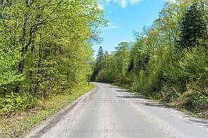 2nd image of 1835B Lorimer Lake Rd N