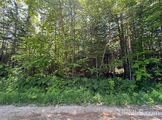 PARCEL Webb Rd #B, Grand Marais, MI 49839