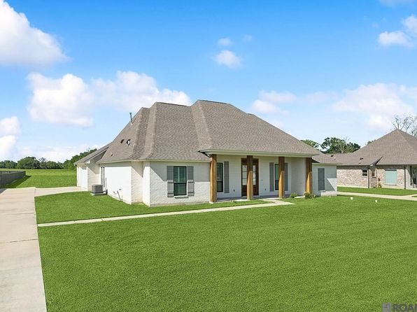 38052 N Robert Wilson Rd, Gonzales, LA 70737