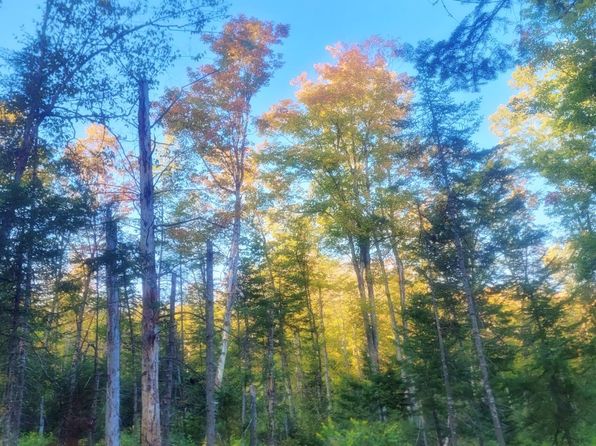 0 Sutton Road, Wheelock, VT 05851