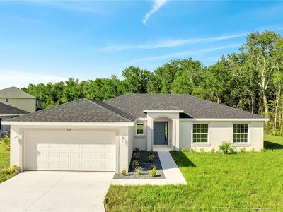 539 Viceroy Ct, Kissimmee, FL, 34758