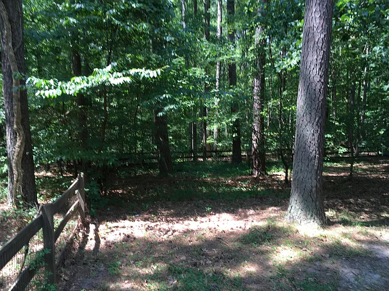 Back yard with woods beyond