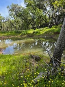 4540 Chris Ln, Auburn, CA, 95602