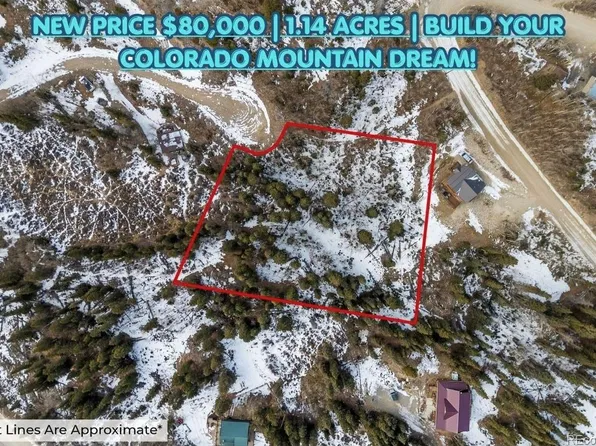 131 Aspen Street LOT 26, Alma, CO 80420