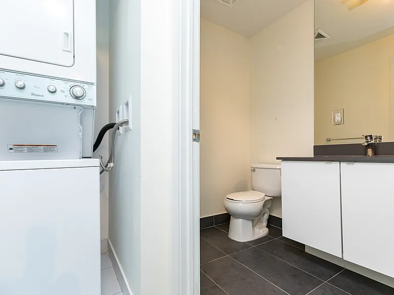 150 E Liberty St #1417 — Photo 19