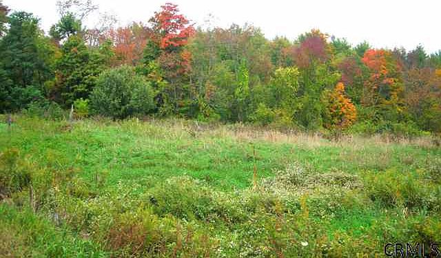 2nd image of 0 BOVIE HILL Road