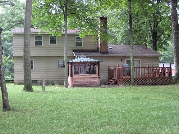 Back yard