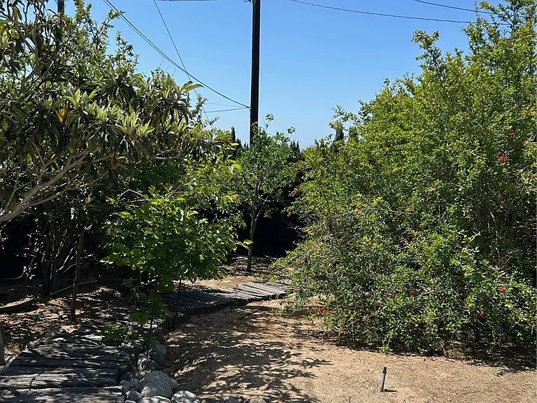 12312 Navy St — Photo 16
