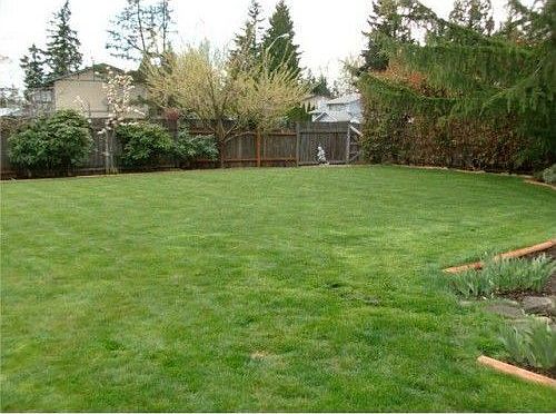 5th image of 2816 11th St SE
