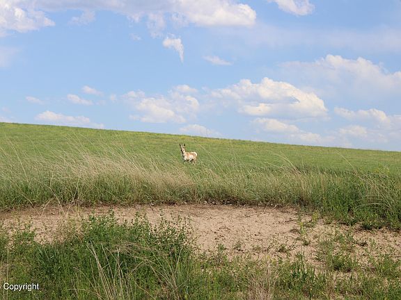 3rd image of TRACT 12 River Rd