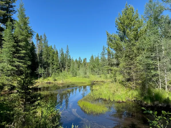 4085 N Red Oak Rd, Lewiston, MI 49756