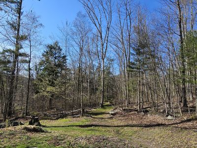 7297 State Route 97, Narrowsburg, NY, 12764