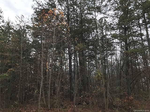 2nd image of 225 Branchwood Cir