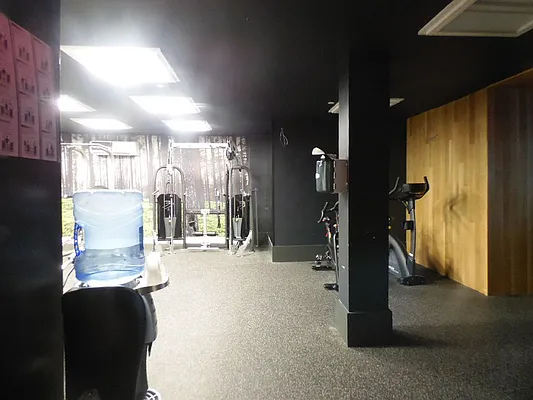 Rented by Gypsy Housing LLC | media 68