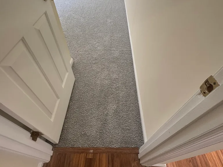 910 James Ct — Photo 6