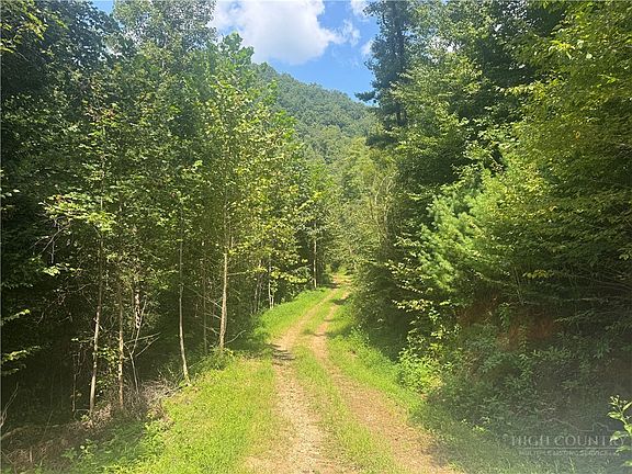 3rd image of TBA Stony Fork