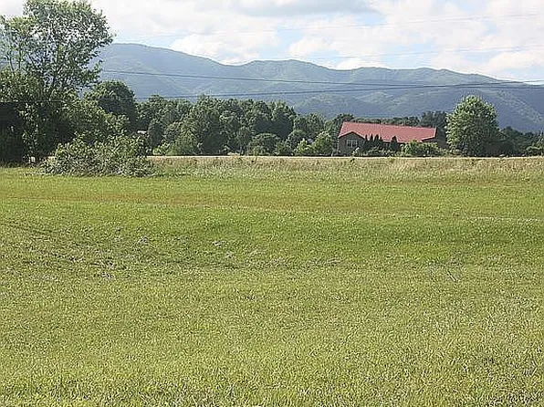 Calico Rd Lot 14, Afton, TN 37616