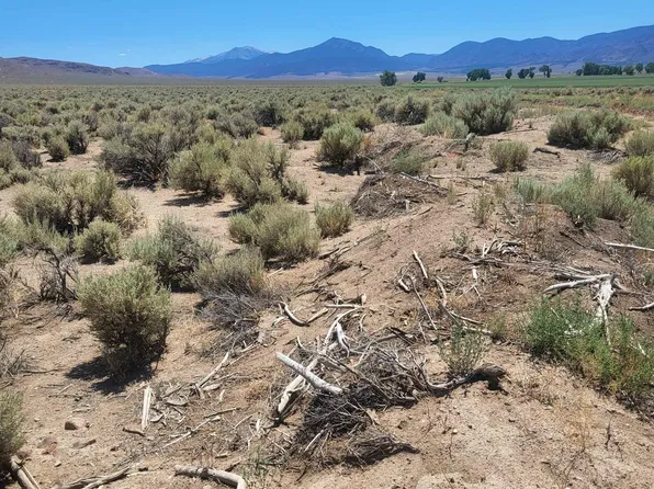 Grant Dr, Wellington, NV 89444