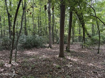 6 Tanner Dr #6, Monterey, TN, 38574