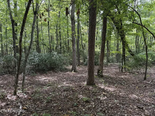 6 Tanner Dr #6, Monterey, TN 38574
