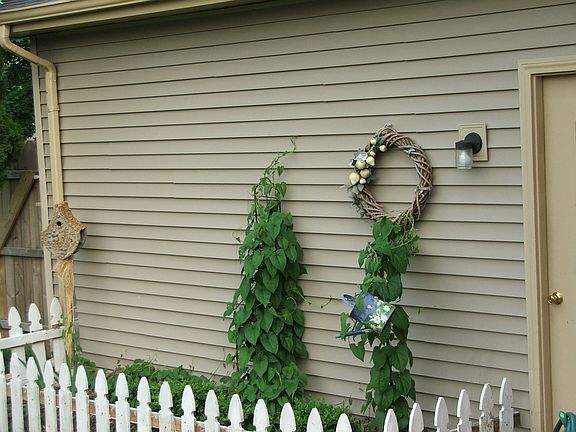 Back of garage