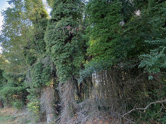 3rd image of Tbd White Bridge Rd