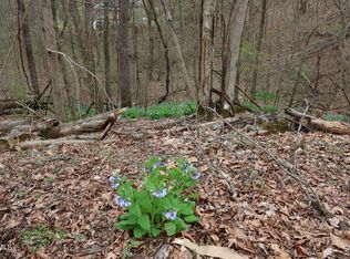 Lakeside Dr, Johnson City, TN 37615