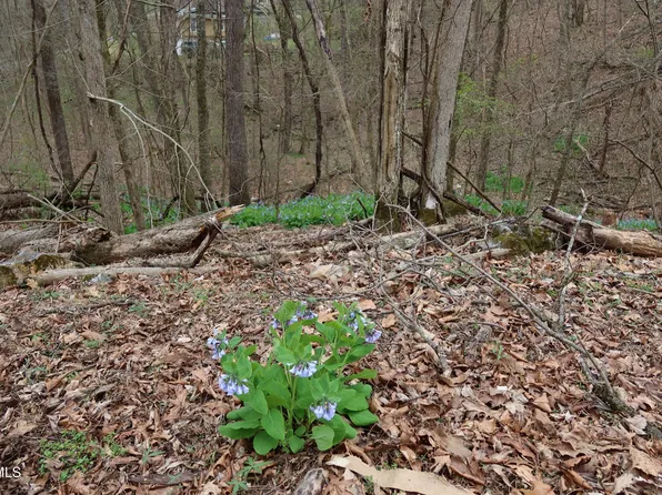 Lakeside Dr, Johnson City, TN 37615