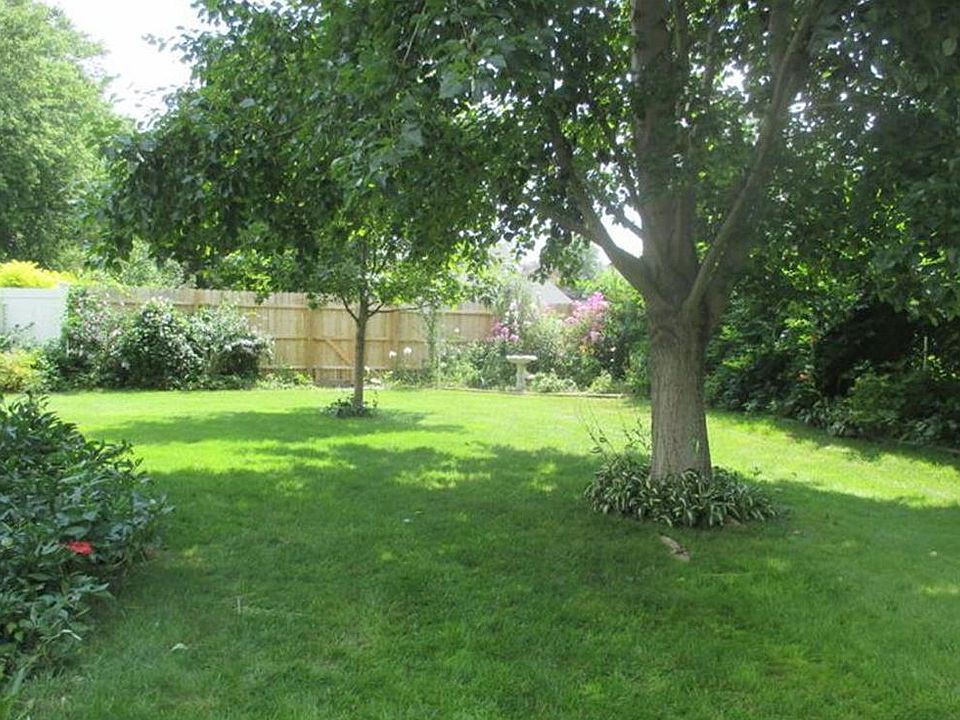 Back yard South