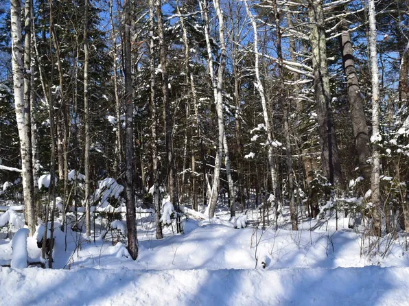 36 Howe Hill Road #1-97B, Benton, NH 03785