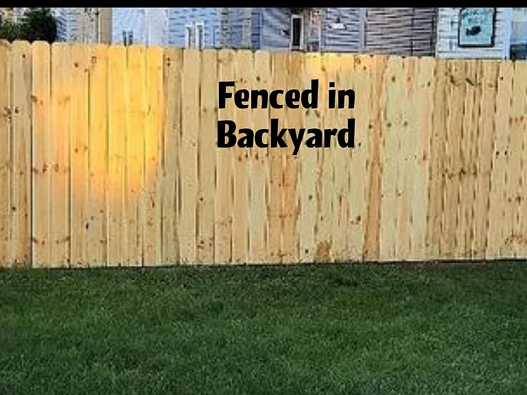 Backyard Fence