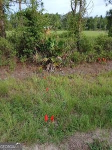 0 Dogwood Ln LOT B, Folkston, GA, 31537