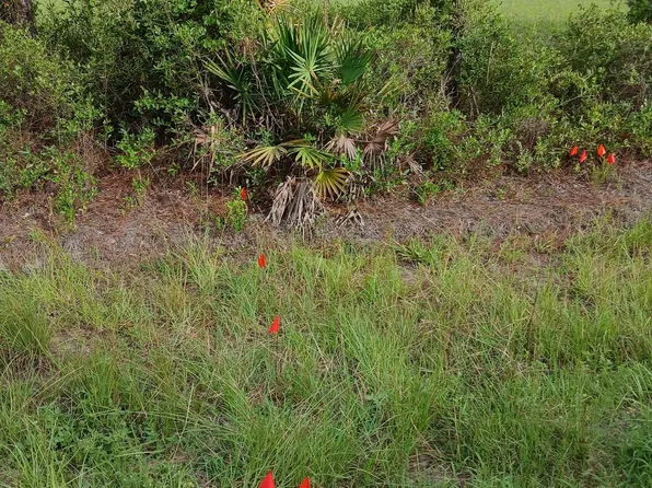 0 Dogwood Ln Lot B, Folkston, GA 31537