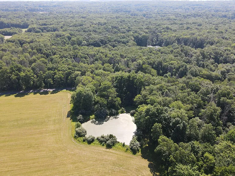 Large pond at the edge of the property.
