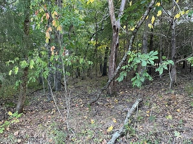 1st image of 5205 Tree Crest Dr