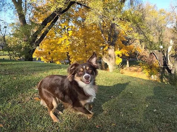 4300 Hill Rd, Richmond, IL 60071