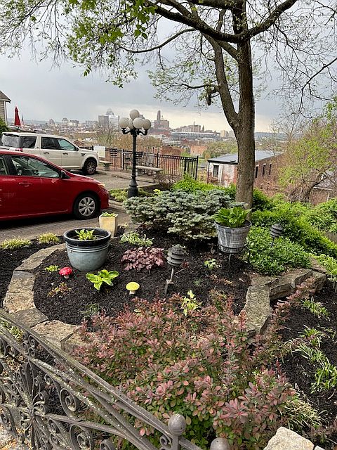 Entrance garden and parking with a view!