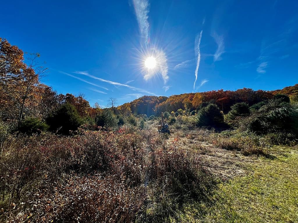 14 Ellison Ridge Rd, Jumping Branch, WV 25969 MLS 85889 Zillow