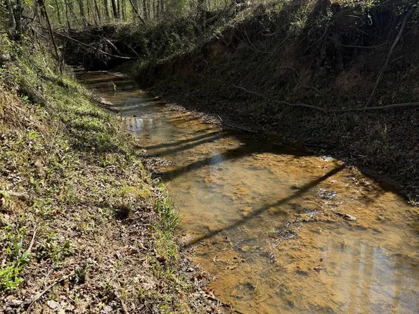 4286 Sheep Ranch Rd, Louisville, MS 39339