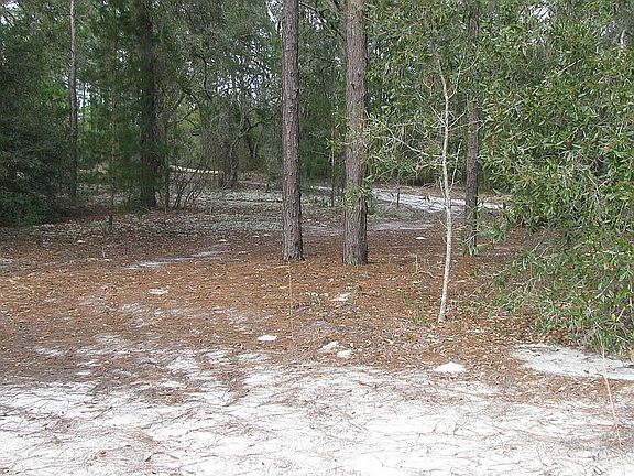 4th image of 144 Lime Ave