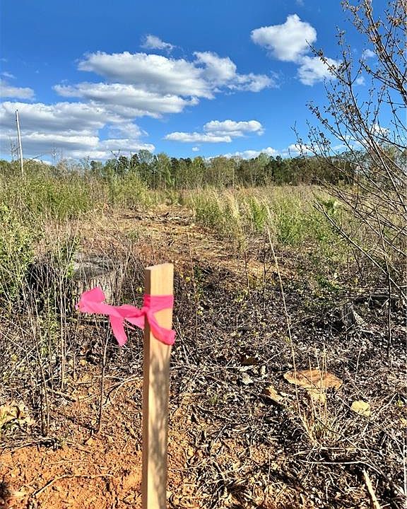 2nd image of TRACT 1 State Highway 49
