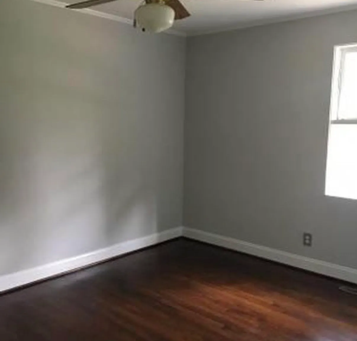 3 bed, 1241 sqft, $2,500 — Photo 4