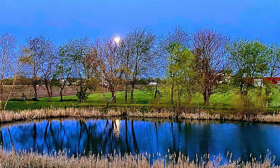 Moon over the pond ??