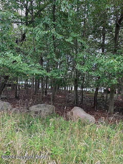 2nd image of 220 Boardwalk Dr
