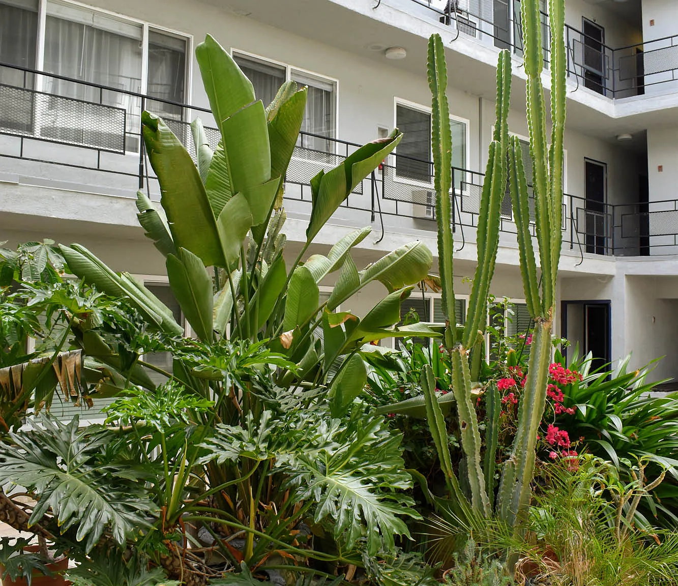 7278 Hollywood Boulevard Apartments — Photo 3