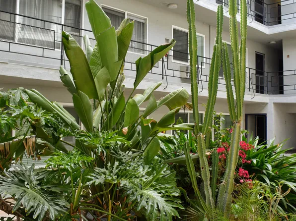 7278 Hollywood Boulevard Apartments